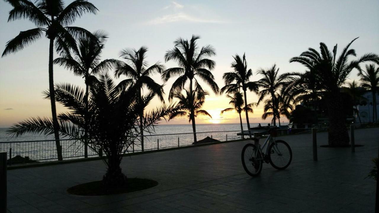 Delfin Playa *